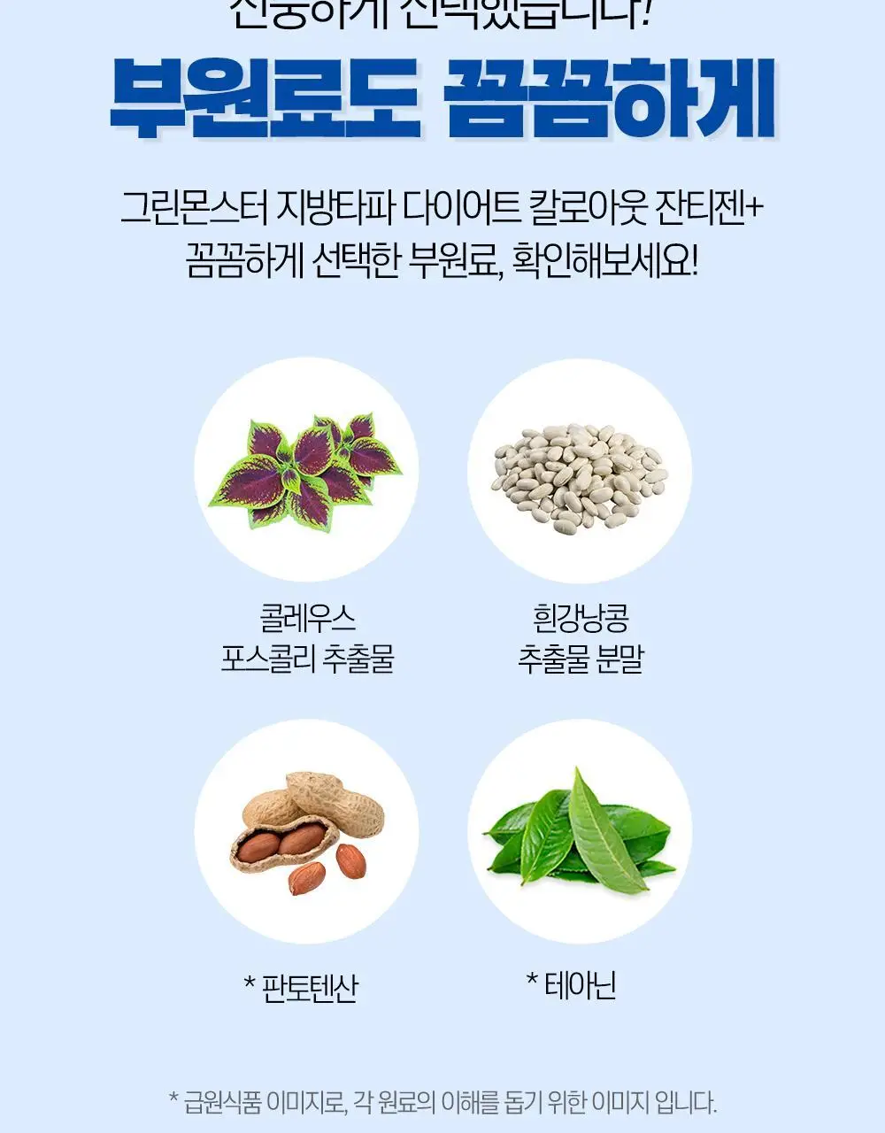 [하루 한알 다이어트] 그린몬스터 지방타파 칼로아웃 잔티젠+ 14캡슐 (2주분) 상세페이지 17